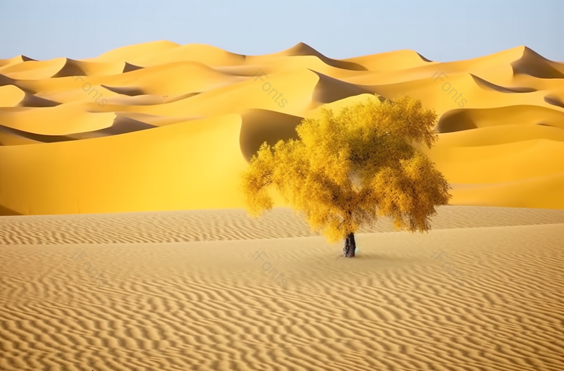 新疆塔克拉玛干沙漠摄影图,高清,摄影图,摄影图片,图片大全,摄影图免费下载